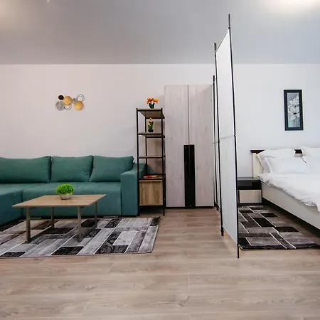 L&v Family Studio Apartment Sinaia