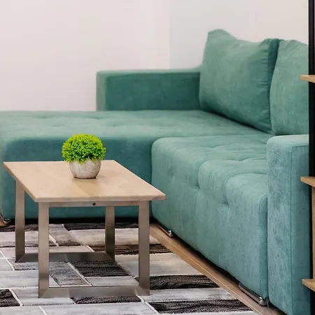 L&v Family Studio Apartment Sinaia