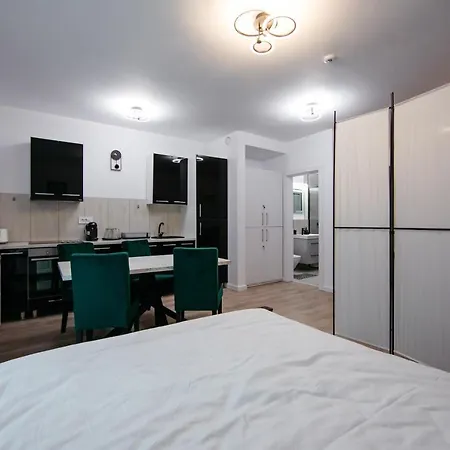 L&v Family Studio Apartment Sinaia