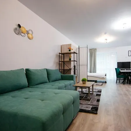 L&v Family Studio Apartment Sinaia
