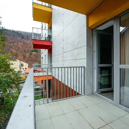 L&v Family Studio Apartment Sinaia